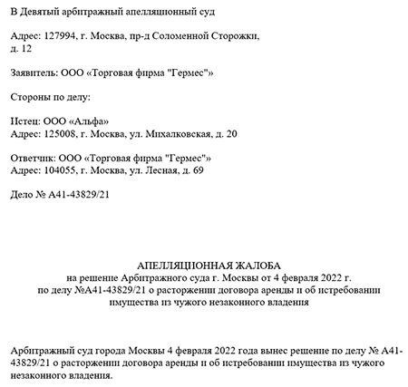 Пример апелляционной жалобы, согласно АПК РФ