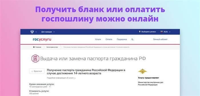 Оформить заявку или оплатить государственную пошлину можно через интернет-сервис.