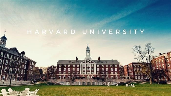 Гарвард - место, где рождаются уникальные кейсы.